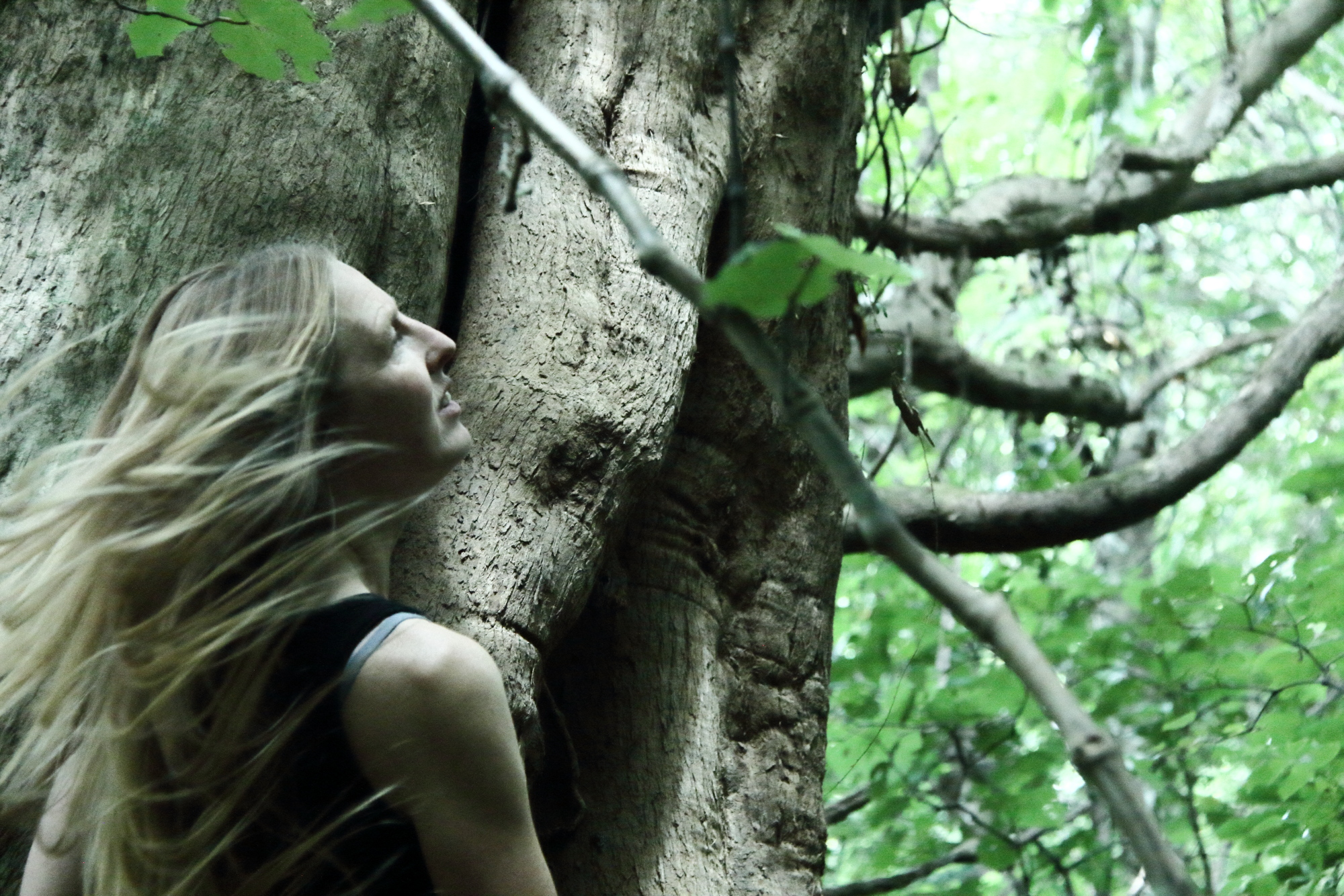 nz folk singer-songwriter